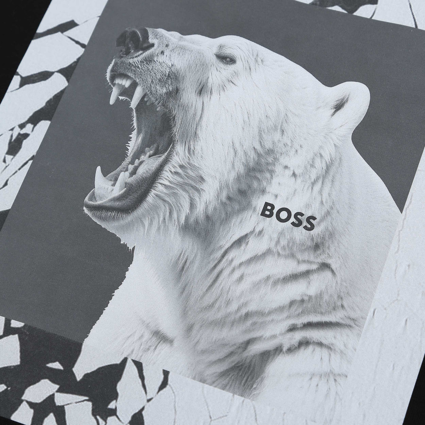 BOSS TE Lupo in Black logo