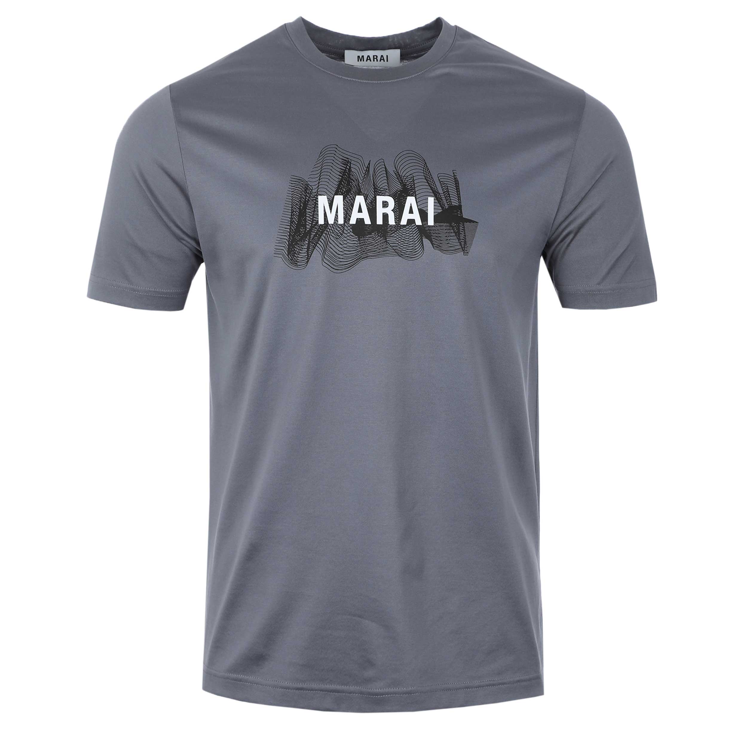 Marai Ripple Print T Shirt in Turbulence