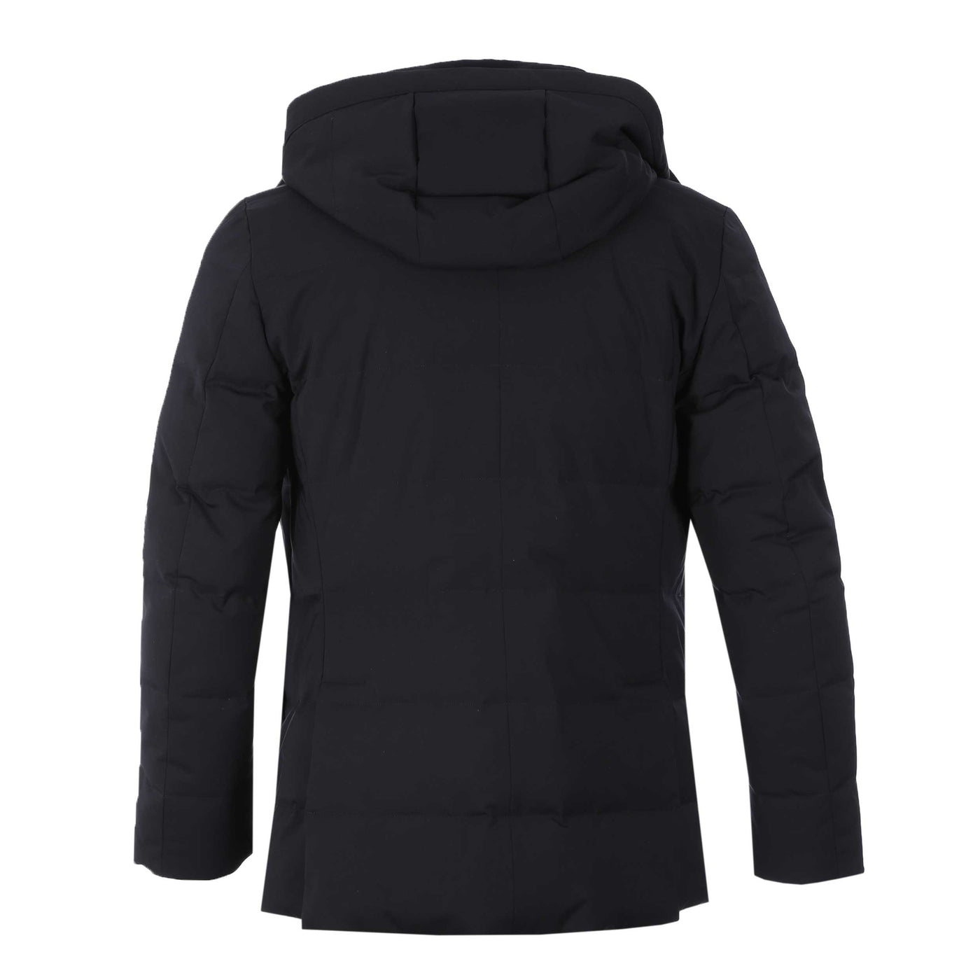 Montecore Hooded Padded Jacket in Navy Back